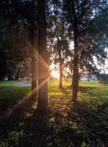 Sunset at southwood tallahassee